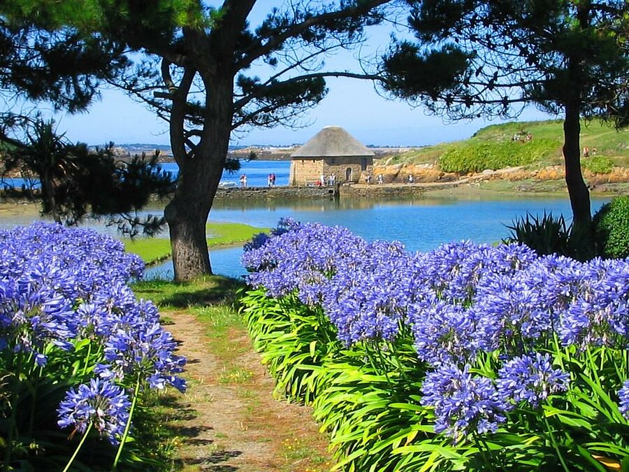 Flower-lined path leading to the Moulin de Birlot on Bréhat Island, an iconic site to see during a campsite stay in the Côtes d’Armor.