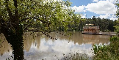 Activities in Monfaucon: experience the charm of Dordogne