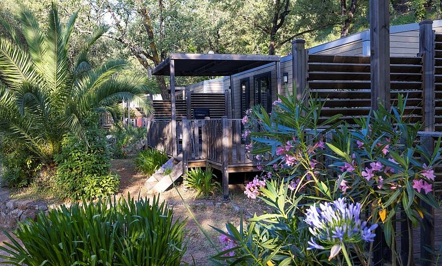 Wooden mobile home surrounded by Mediterranean vegetation at a nature campsite on the Côte d’Azur.